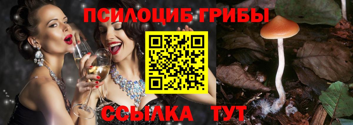 Галлюциногенные грибы GOLDEN TEACHER  Вход с VPN  Псилоцибиновые грибы Psilocybine cubensis  Мирный 